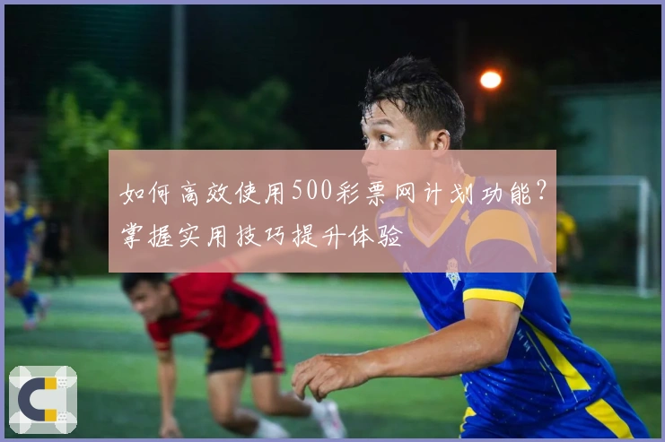 如何高效使用500彩票网计划功能?掌握实用技巧提升体验